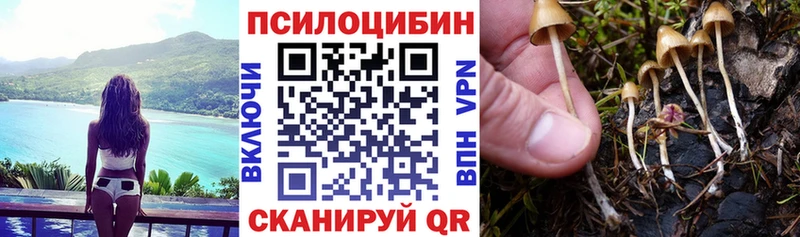 Псилоцибиновые грибы Psilocybe  hydra как зайти  Чусовой 