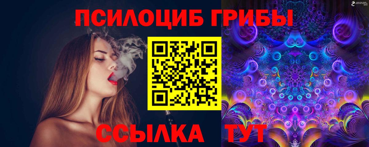 Чусовой  Галлюциногенные грибы Psilocybe  Вход с VPN 